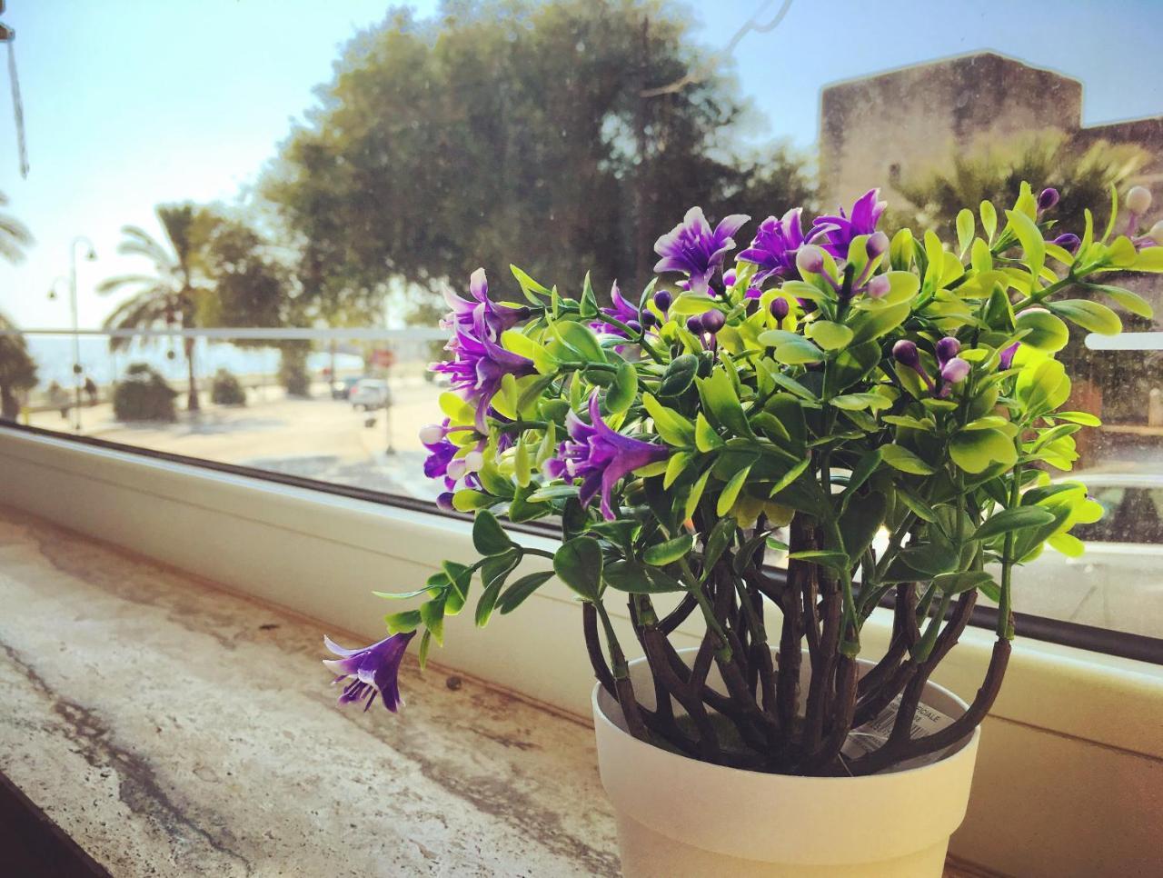 Hotel Domus Bianca Lancia Manfredonia Esterno foto